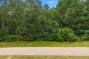 4207 Longhorn Drive, Cleveland, TX 77328 - Photo 11