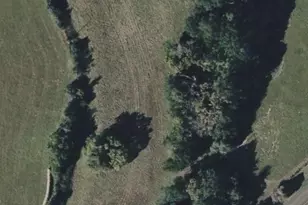 410 Lcr 890, Jewett, TX 75846 - Photo 33