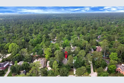 19 Long Springs Place, The Woodlands, TX 77382 - Photo 39