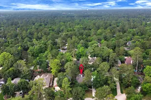 19 Long Springs Pl, The Woodlands, TX 77382 - Photo 39