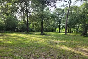 17038 Payne Rd, Conroe, TX 77302 - Photo 21