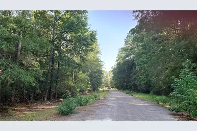 Lot 19 Silver Birch, Village Mills, TX 77663 - Photo 3