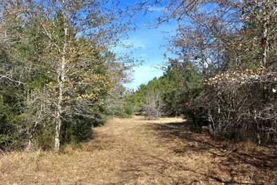 10173 Deer Ridge Road, Bedias, TX 77831 - Photo 11