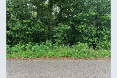 000 Rollingwood Loop, Conroe, TX 77303 - Photo 3