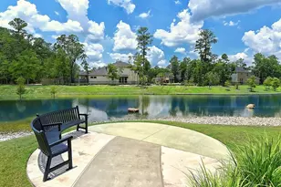 16875 Pink Wintergreen Dr, Conroe, TX 77385 - Photo 37