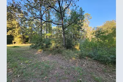 0 Hackberry Drive, Onalaska, TX 77360 - Photo 5