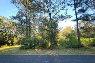 0 Hackberry Dr, Onalaska, TX 77360 - Photo 1
