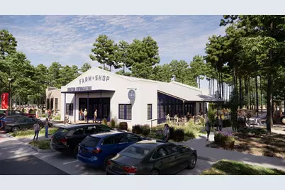 9031 Babbling Brook Drive, Montgomery, TX 77316 - Photo 3