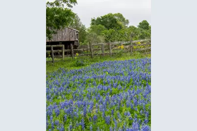 31134 Riley Heights Drive, Fulshear, TX 77441 - Photo 23