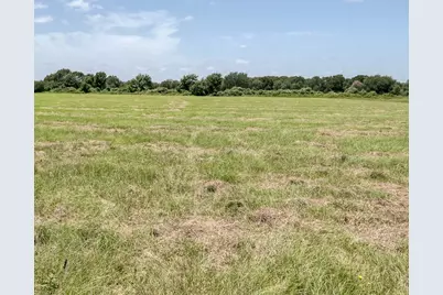 24659 Richards Road, Hempstead, TX 77445 - Photo 7