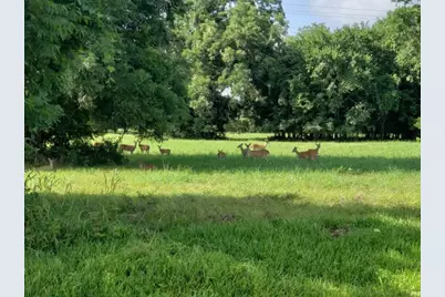 267 & 273 Middle Bayou Trail, Angleton, TX 77515 - Photo 3
