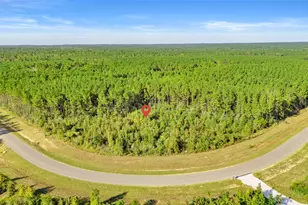 16086 Frst Ml Rd, Willis, TX 77378 - Photo 1
