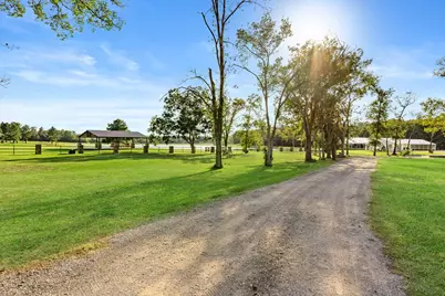 16086 Forest Mill Road, Willis, TX 77378 - Photo 11