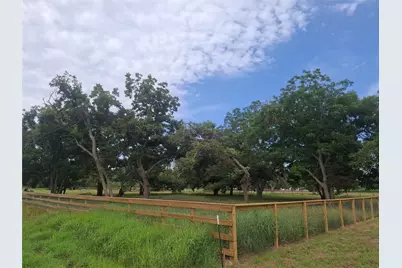 315 Pony Lane, Simonton, TX 77485 - Photo 7