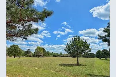 11986 Cr 112, Centerville, TX 75833 - Photo 17