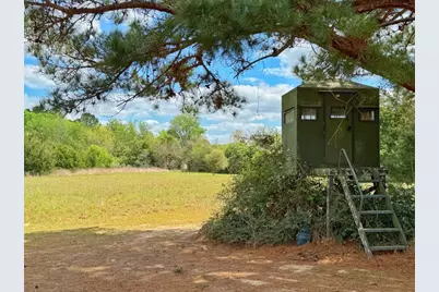 11986 Cr 112, Centerville, TX 75833 - Photo 15