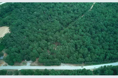 36014 Fm 149 Road, Pinehurst, TX 77362 - Photo 11