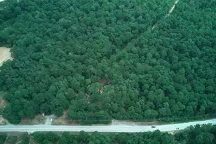 36014 Fm 149 Rd, Pinehurst, TX 77362 - Photo 11