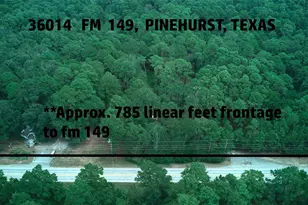 36014 Fm 149 Rd, Pinehurst, TX 77362 - Photo 13