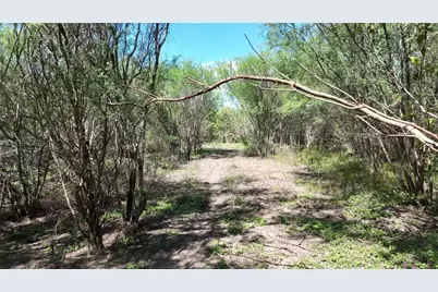 14100 Fm 1155 E, Washington, TX 77880 - Photo 9