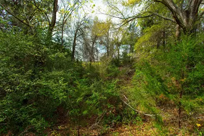 3882 Webb Cemetary Road, Calvert, TX 77837 - Photo 9