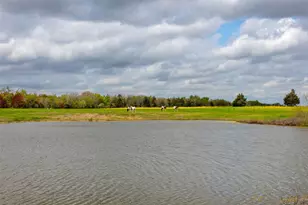3882 Webb Cemetary Rd, Calvert, TX 77837 - Photo 1