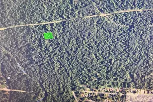 0 A0579 Toby Thomas, Roman Forest, TX 77357 - Photo 5