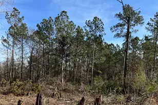 5850 Alfred Oaks Dr Dr, Beaumont, TX 77713 - Photo 1