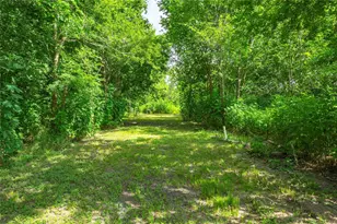 1857 County Rd 99, Alvin, TX 77511 - Photo 31