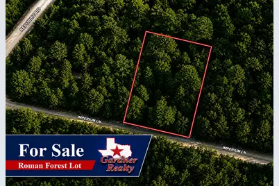 Lot 3 Imperium, New Caney, TX 77357 - Photo 1
