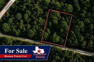 Lot 3 Imperium, New Caney, TX 77357 - Photo 1