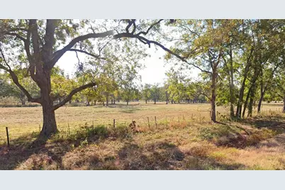 (20 Ac) Tbd Fm 2548, Midway, TX 75852 - Photo 11