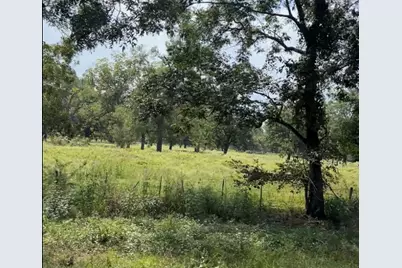 (20 Ac) Tbd Fm 2548, Midway, TX 75852 - Photo 7