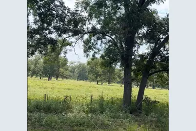 (20 Ac) Tbd Fm 2548, Midway, TX 75852 - Photo 3
