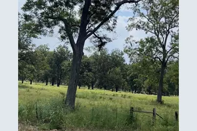 (20 Ac) Tbd Fm 2548, Midway, TX 75852 - Photo 5