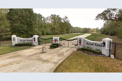 5.3 Ac Tbd Spring Branch Rd, Montgomery, TX 77316 - Photo 25