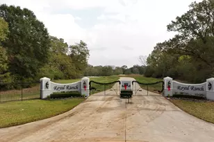 5 3 Ac Tbd Spring Branch Rd, Montgomery, TX 77316 - Photo 23