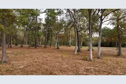 5.3 Ac Tbd Spring Branch Rd, Montgomery, TX 77316 - Photo 3