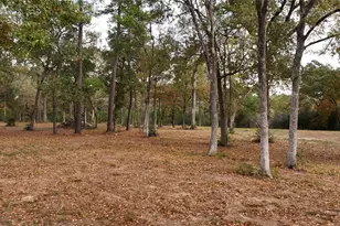 5 3 Ac Tbd Spring Branch Rd, Montgomery, TX 77316 - Photo 3