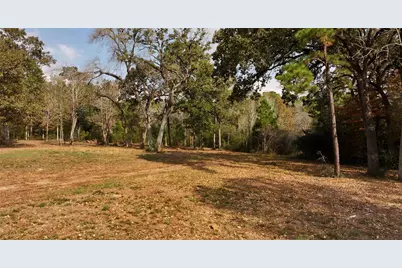 5.3 Ac Tbd Spring Branch Rd, Montgomery, TX 77316 - Photo 9