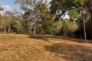 5 3 Ac Tbd Spring Branch Rd, Montgomery, TX 77316 - Photo 9