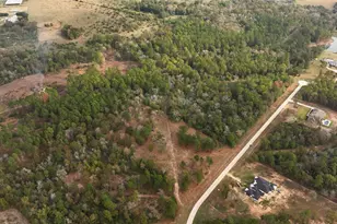 5 3 Ac Tbd Spring Branch Rd, Montgomery, TX 77316 - Photo 19