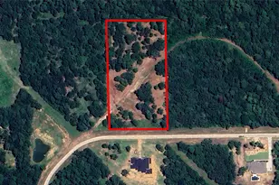 5 3 Ac Tbd Spring Branch Rd, Montgomery, TX 77316 - Photo 5