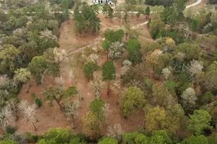 5 3 Ac Tbd Spring Branch Rd, Montgomery, TX 77316 - Photo 11