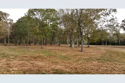 5.3 Ac Tbd Spring Branch Rd, Montgomery, TX 77316 - Photo 21