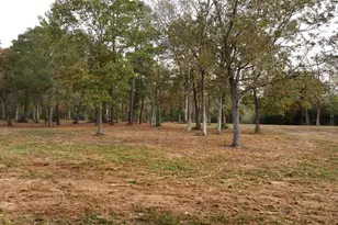 5 3 Ac Tbd Spring Branch Rd, Montgomery, TX 77316 - Photo 21