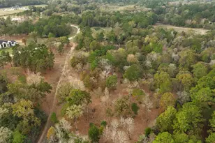 5 3 Ac Tbd Spring Branch Rd, Montgomery, TX 77316 - Photo 13