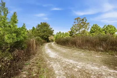 691 Bishop Road, Huntsville, TX 77320 - Photo 35