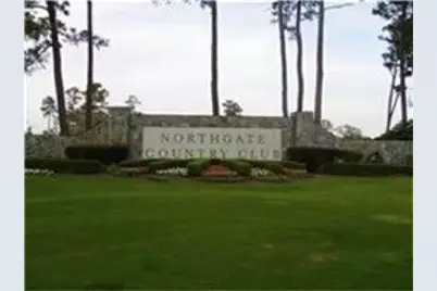 0 Northgate Forest Drive, Houston, TX 77068 - Photo 9