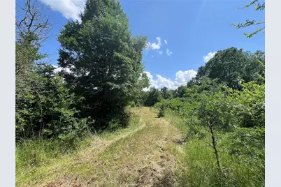 0012 Fm 2562 and Cr 218 Road, Anderson, TX 77830 - Photo 17